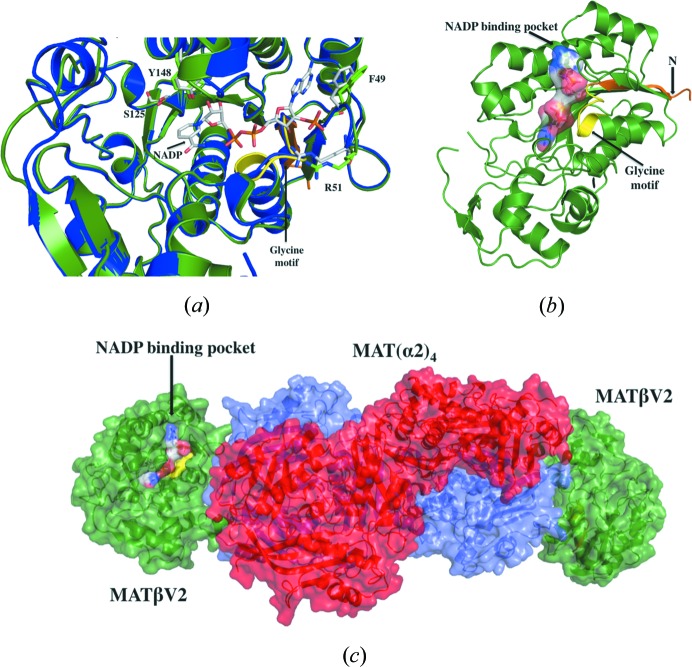 Figure 5