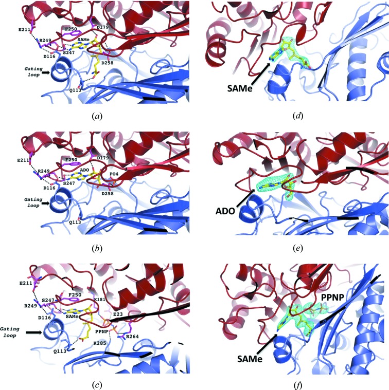 Figure 6