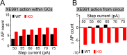 Figure 7—figure supplement 2.