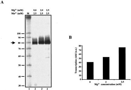 FIGURE 4.