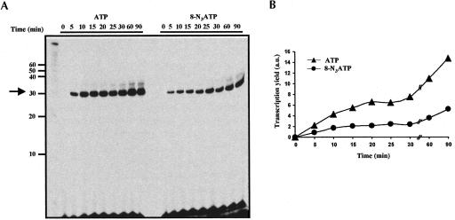 FIGURE 3.