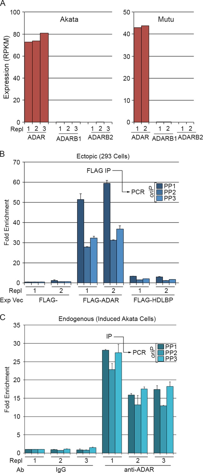 FIG 4