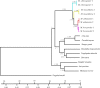 Fig 2