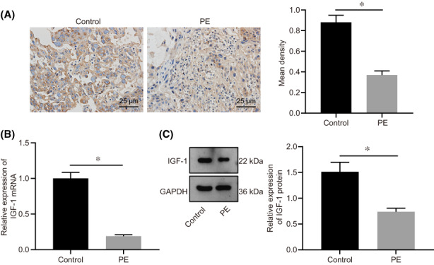 FIGURE 1