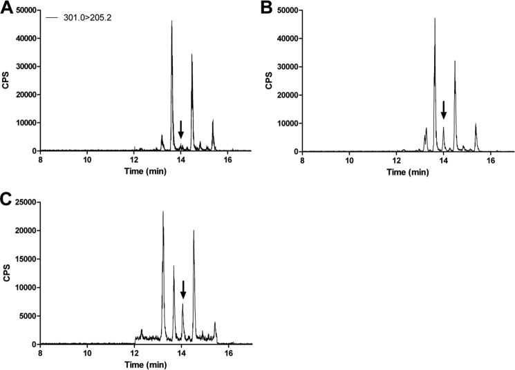 FIGURE 1.