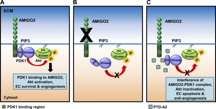 Figure 10.