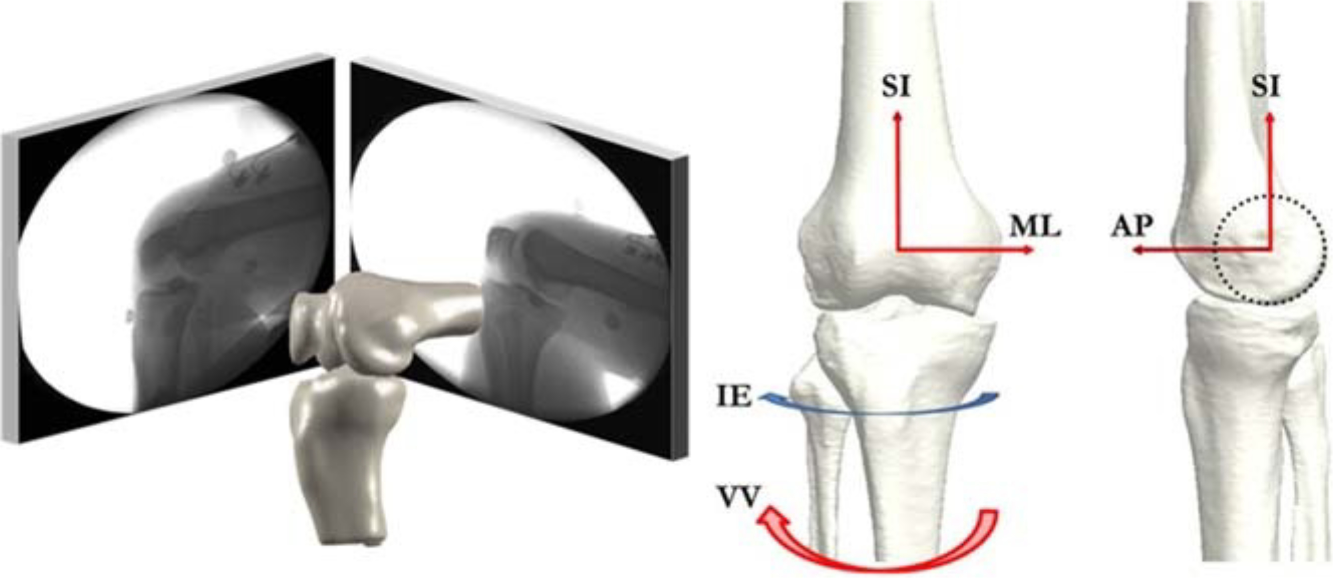 FIGURE 2—