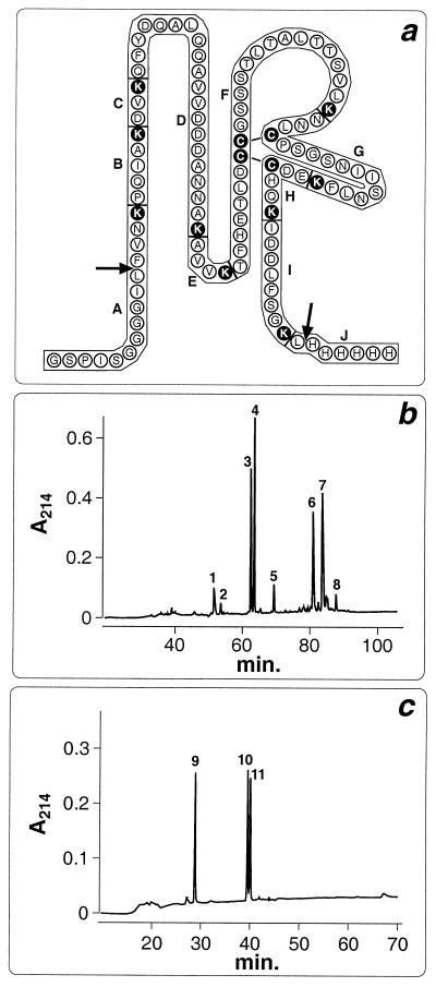 FIG. 5