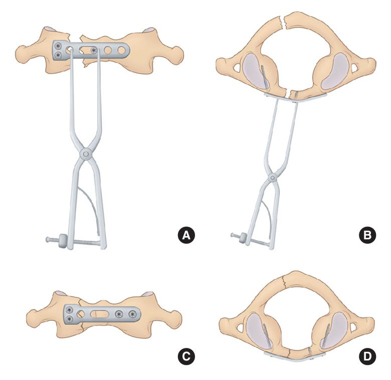 Fig. 1.