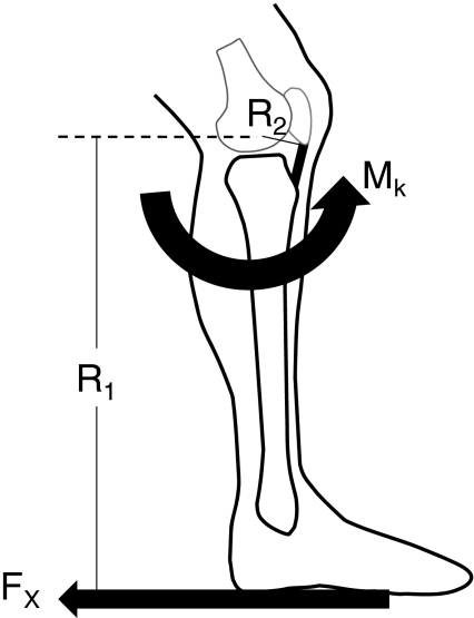 Fig. 2