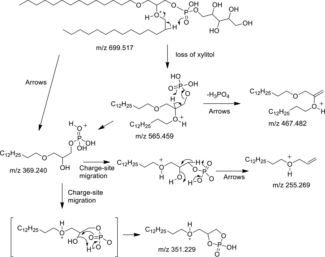 Scheme 3