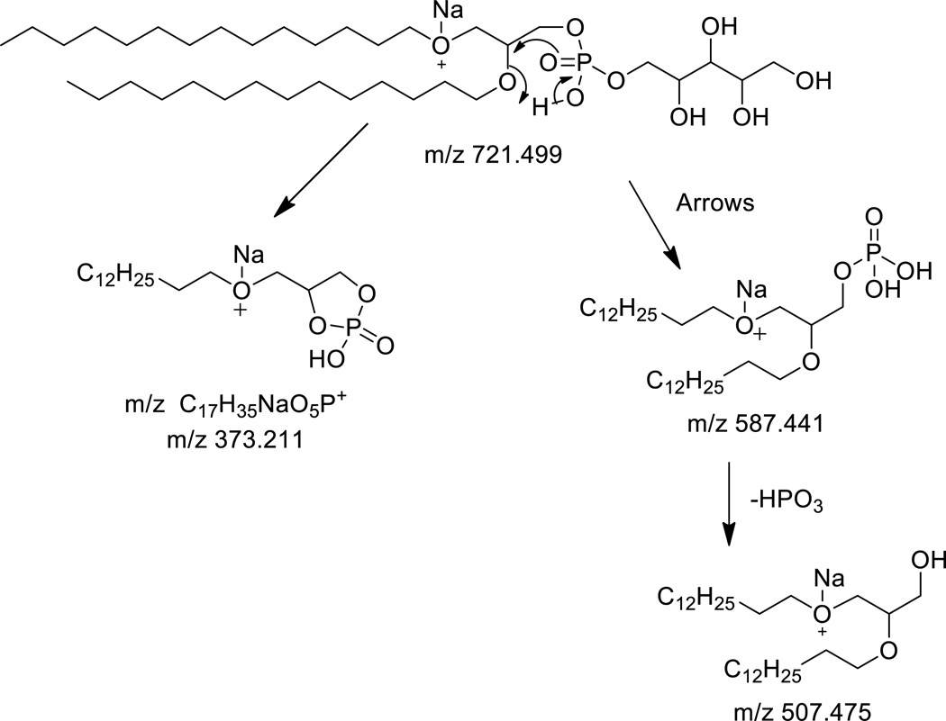 Scheme 4