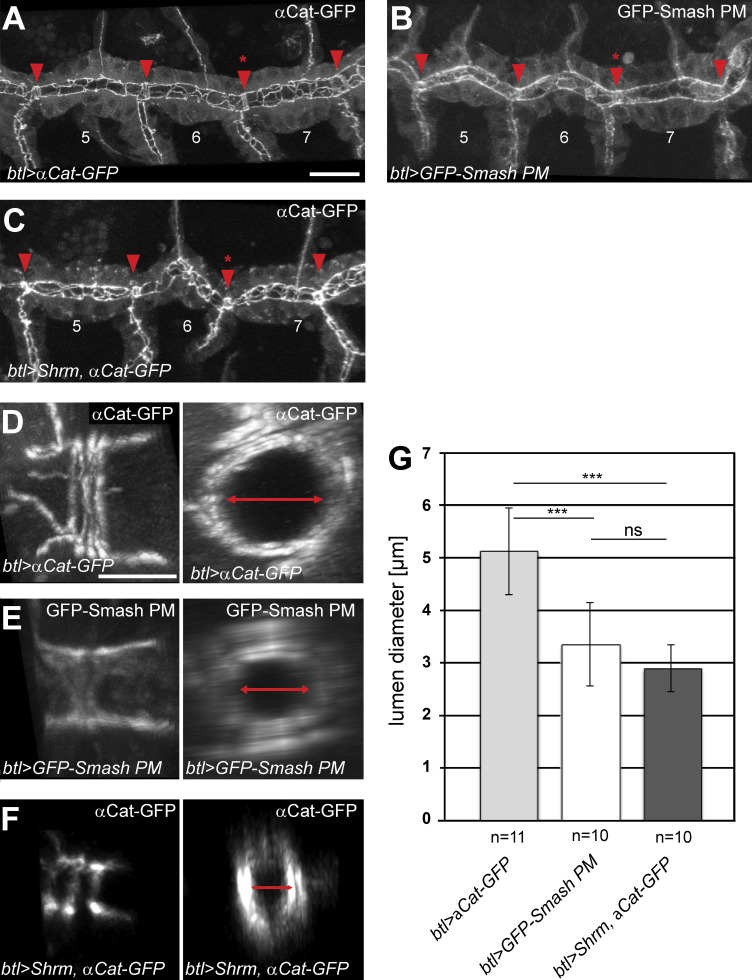 Figure 10.