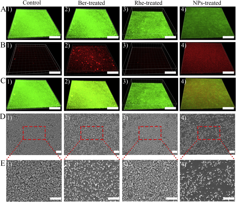 Figure 5