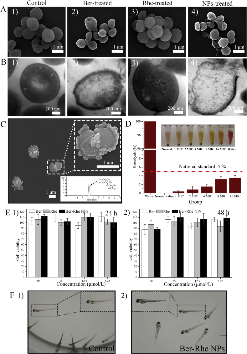 Figure 6