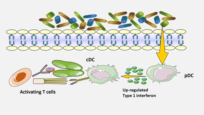 Figure 5.