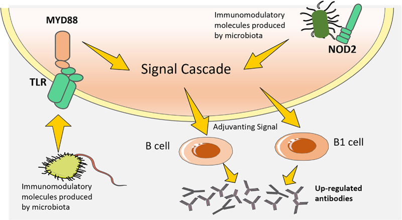 Figure 4.