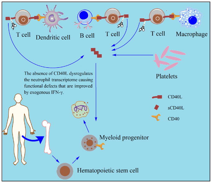 FIG 6