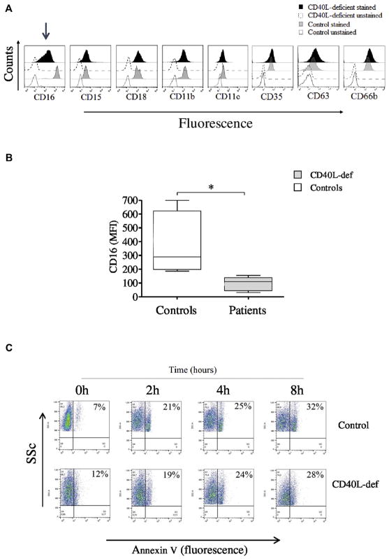 FIG 3