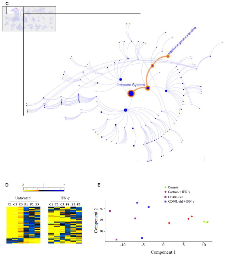 FIG 2