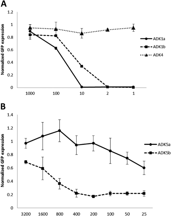 FIG 1