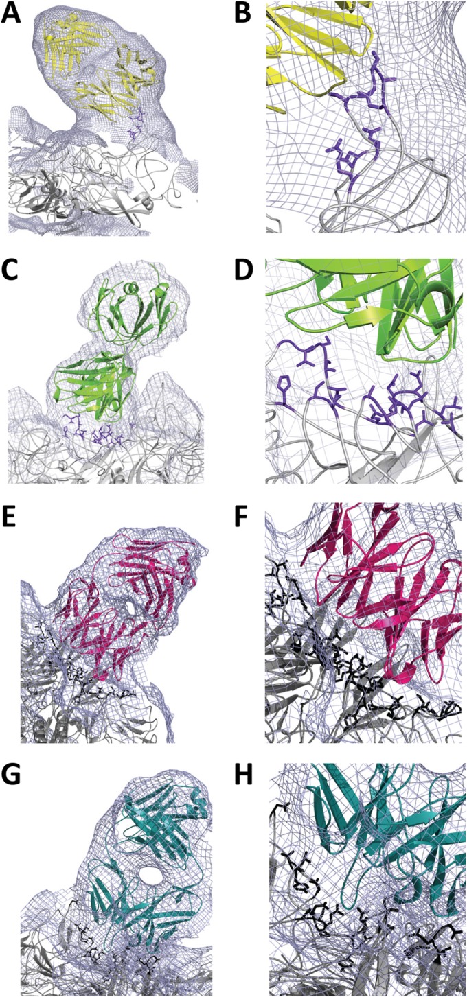 FIG 3