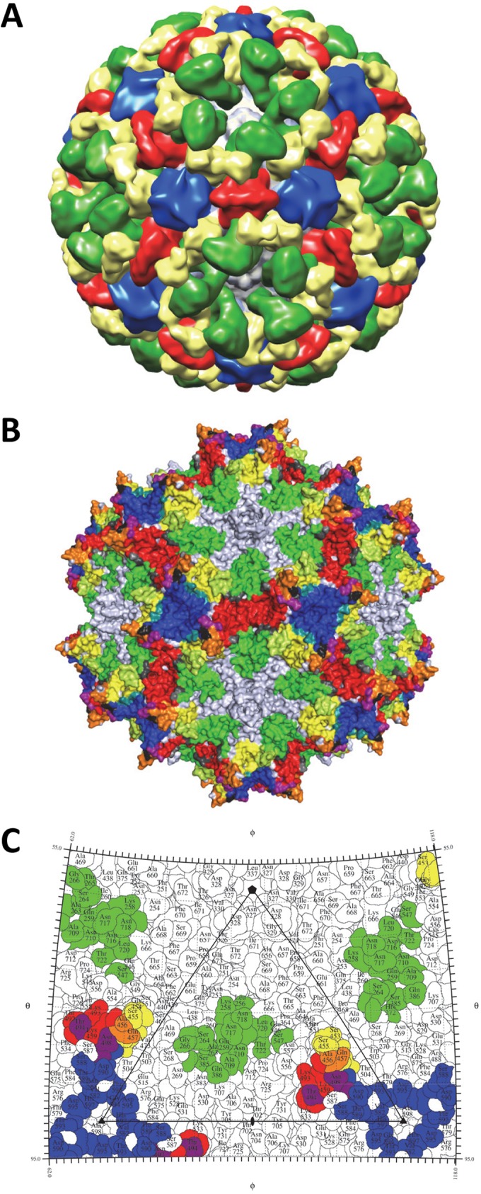 FIG 6