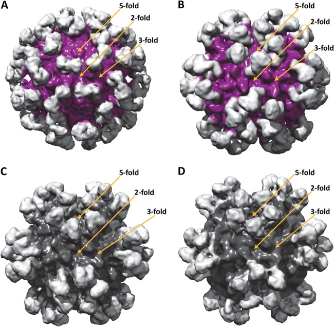 FIG 2