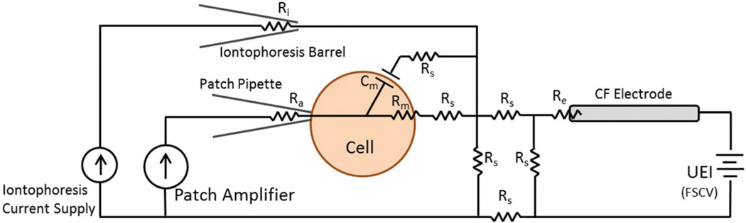 Fig. 2