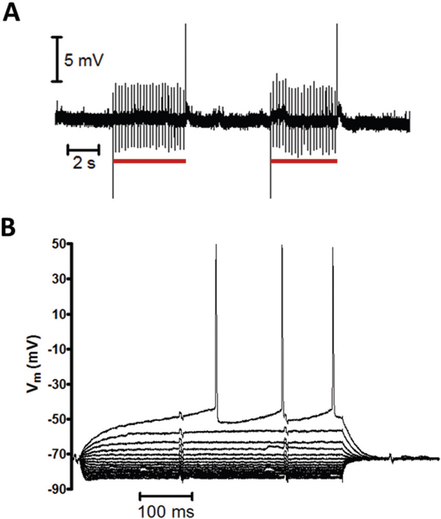 Fig. 5