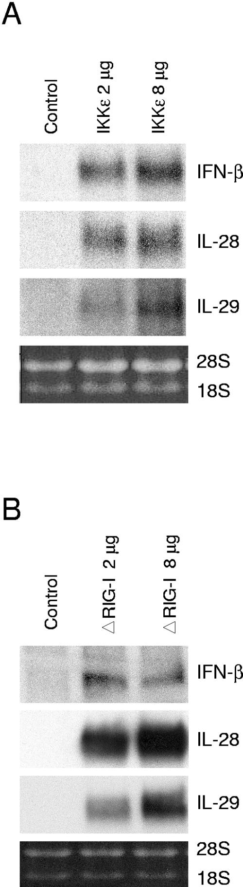 FIG. 7.