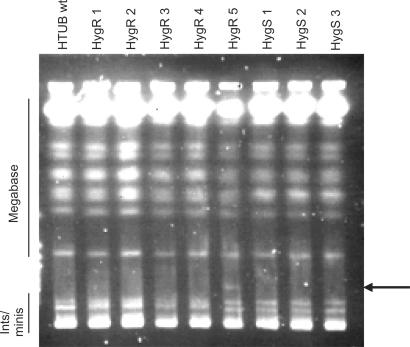 Figure 6.