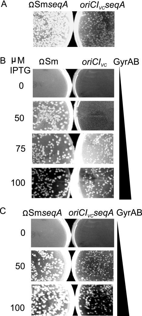 FIG. 9.