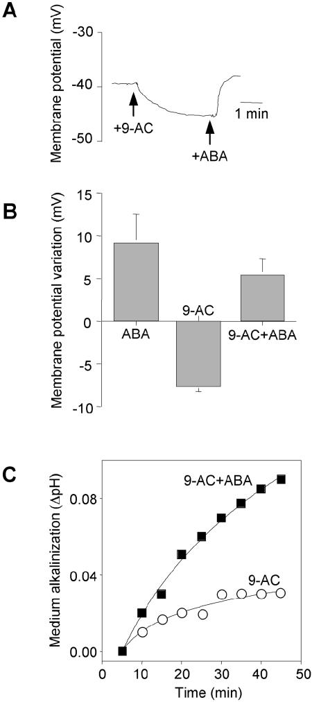 Figure 6.