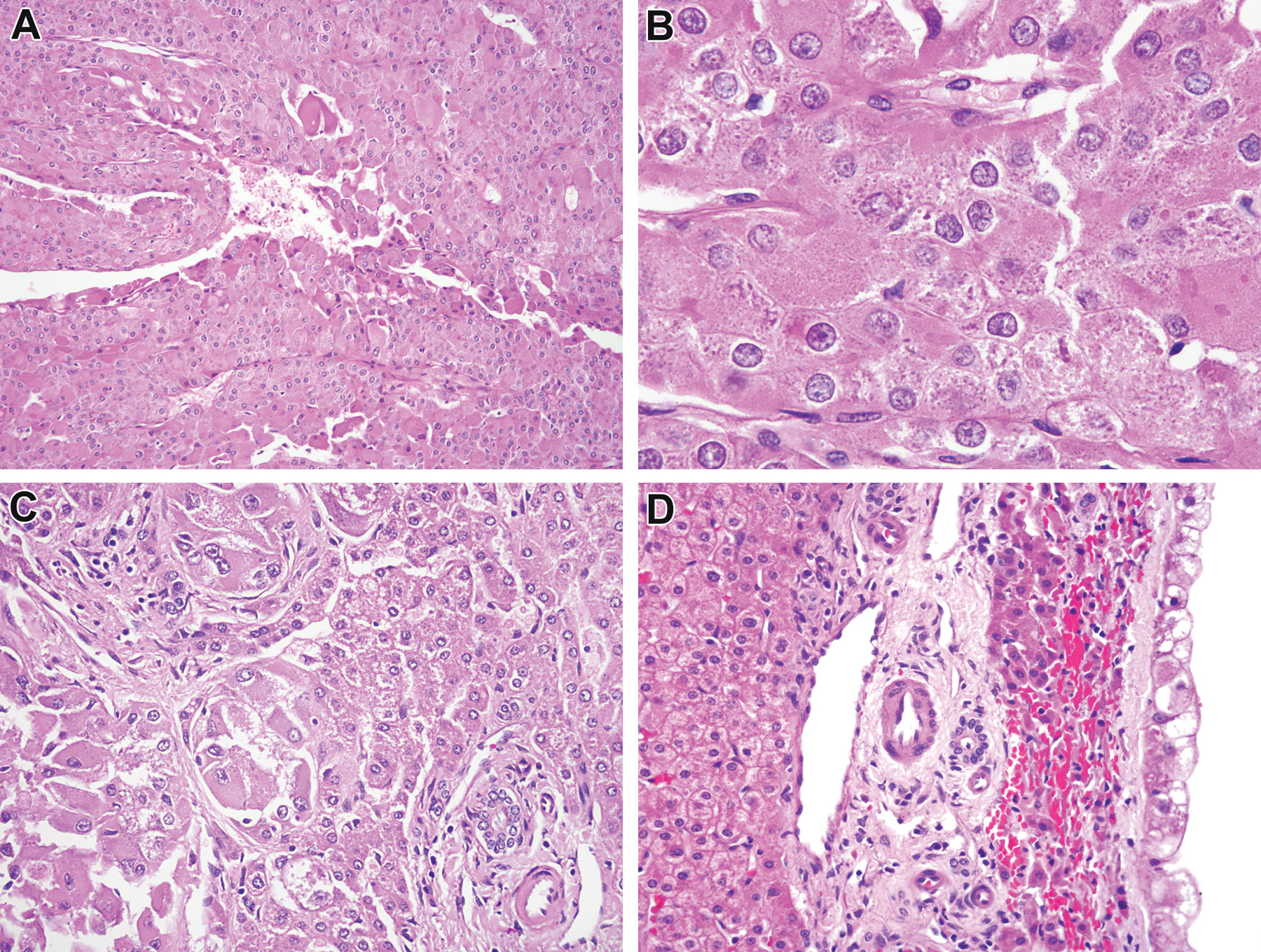 Figure 7: