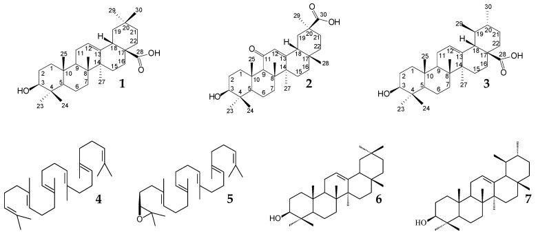 graphic file with name molecules-25-05526-i001.jpg