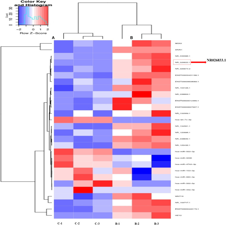 FIGURE 6