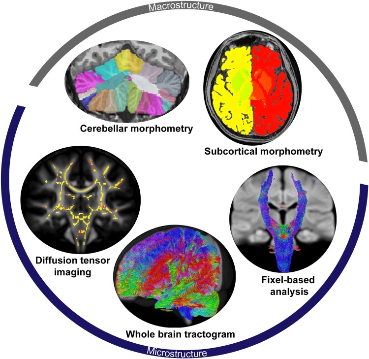 Graphical Abstract