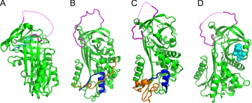 FIGURE 3.