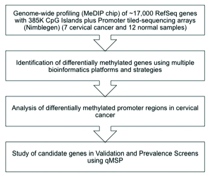 graphic file with name epi-9-308-g1.jpg