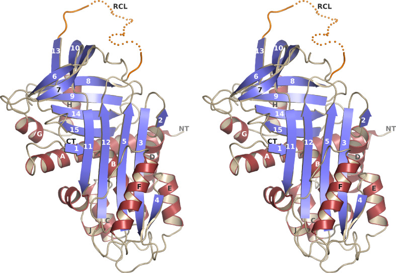 Fig. 1