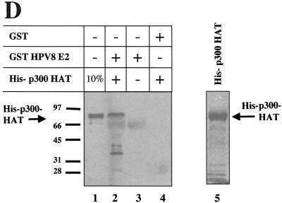 FIG.1.