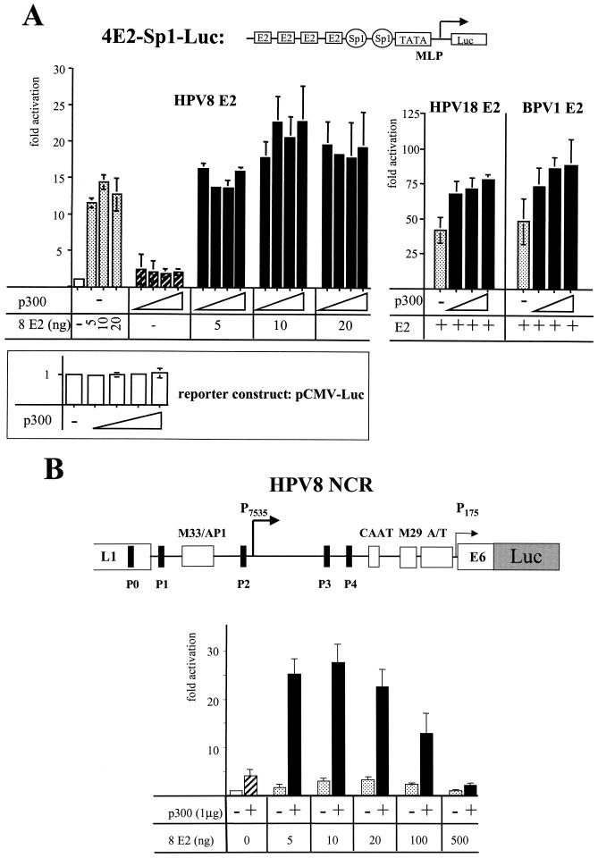 FIG. 2.