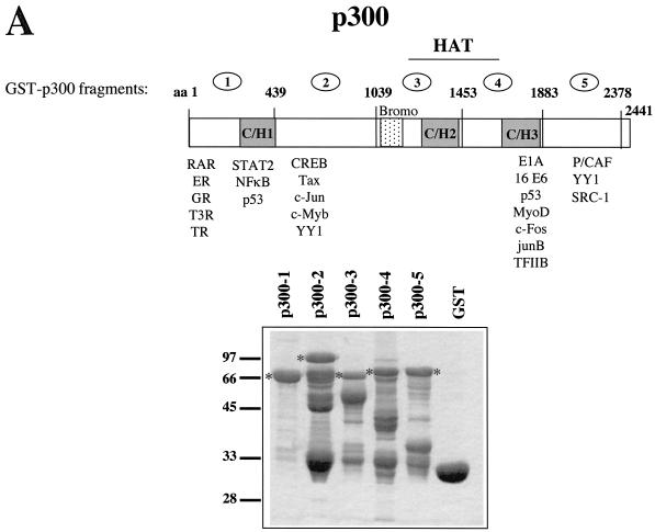 FIG.1.