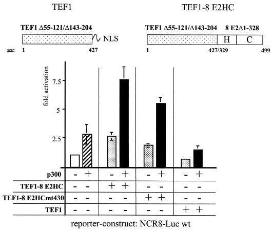 FIG. 5.