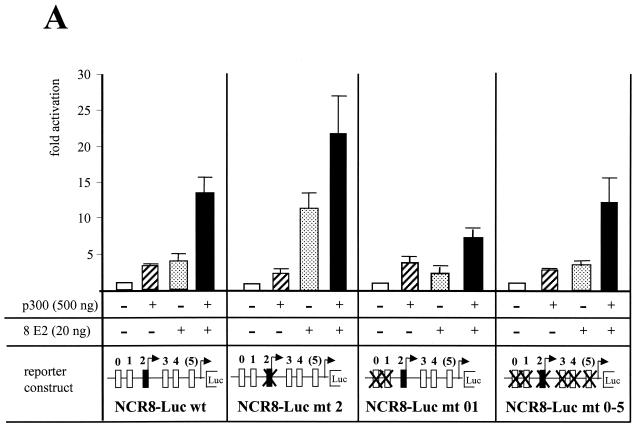 FIG. 3.