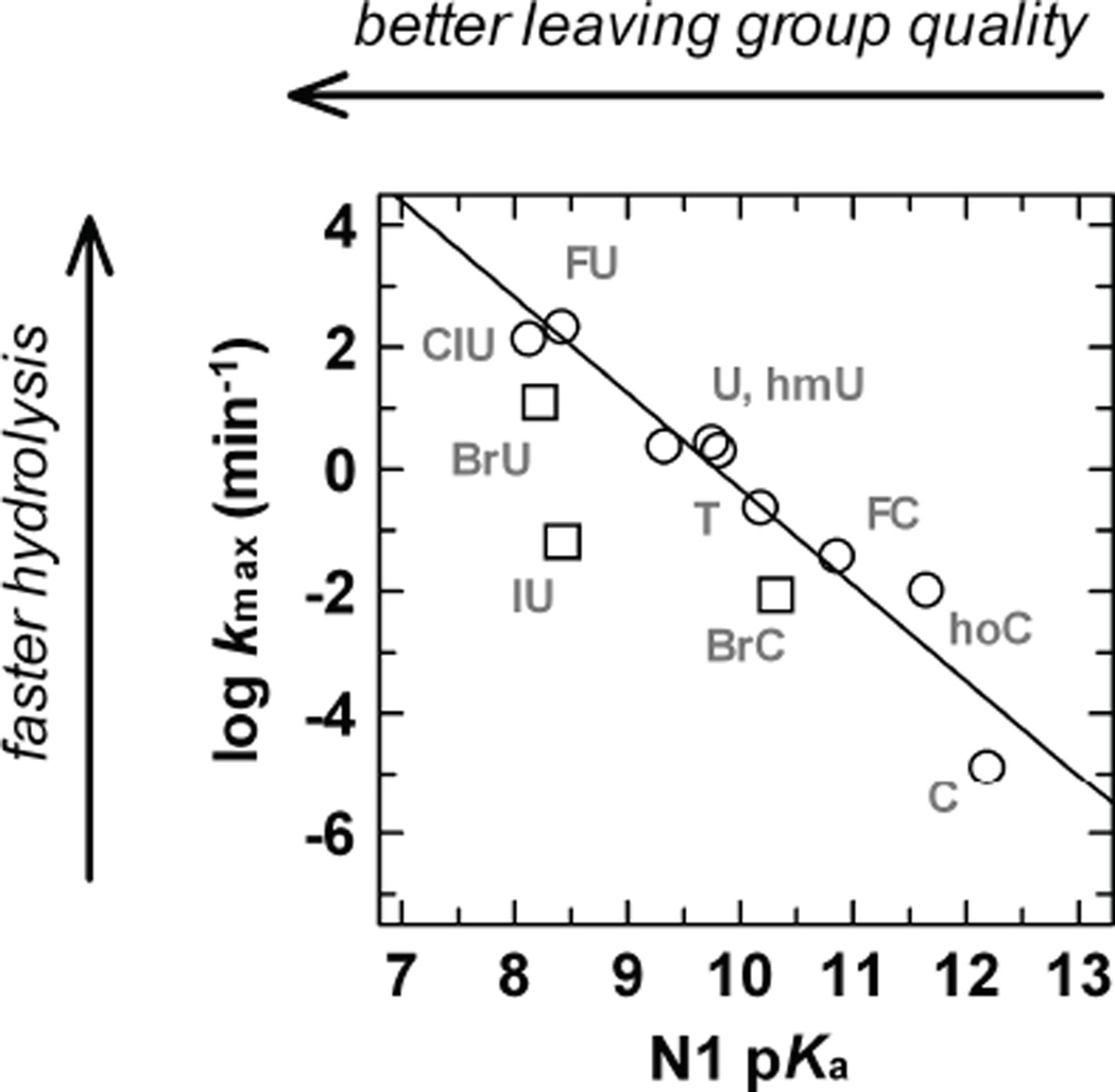 Fig. 11