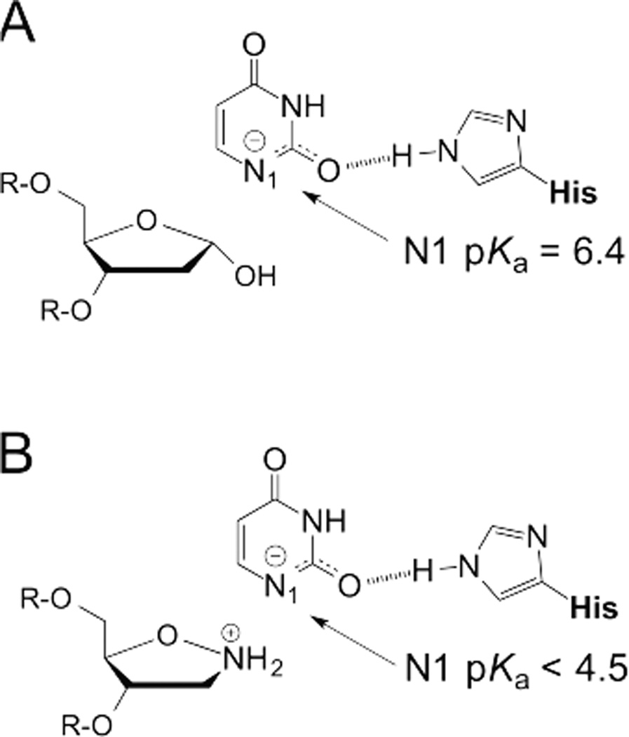 Fig. 10