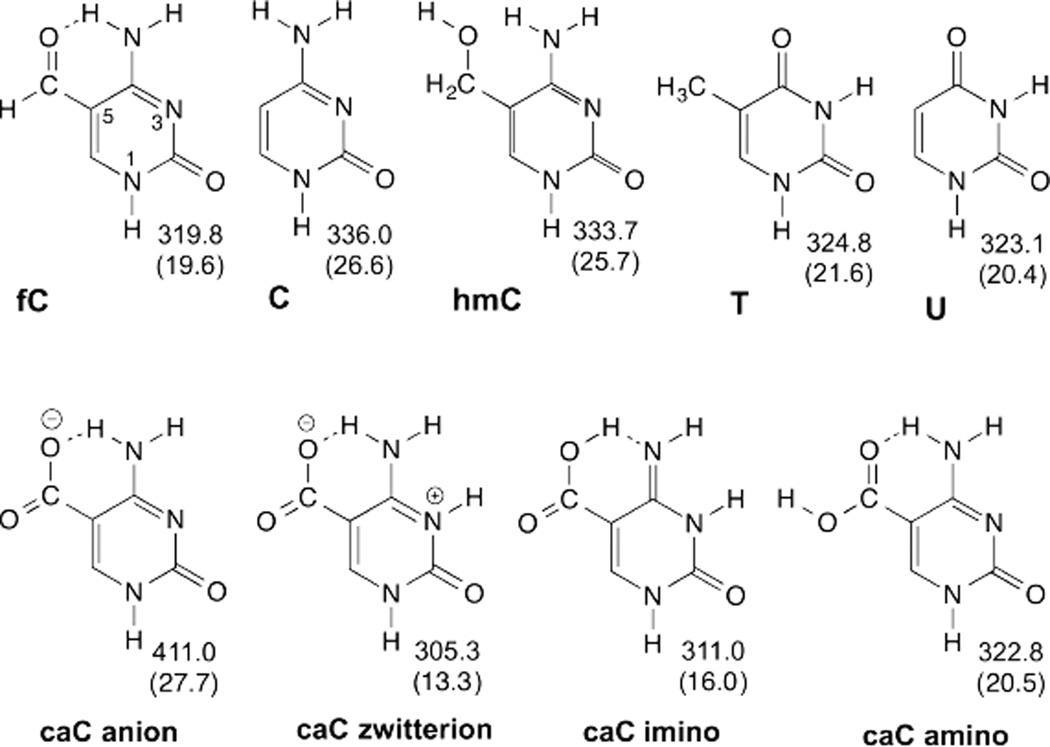 Fig. 12