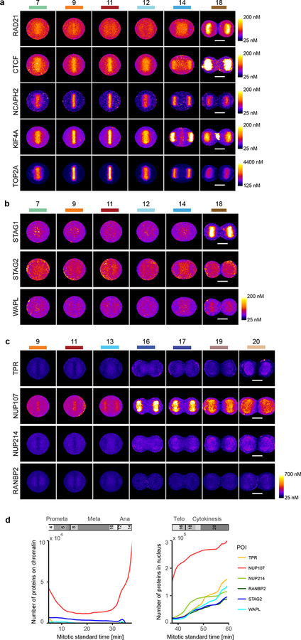 Extended Data Fig. 5 |